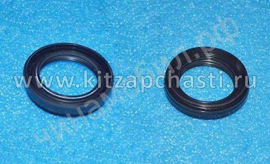 Сальник дифференциала Chery Tiggo 3X 019CHA1502106