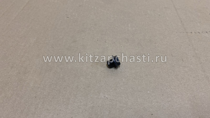 Пробка сливная HAVAL H9 2pecт 1009304XEC06