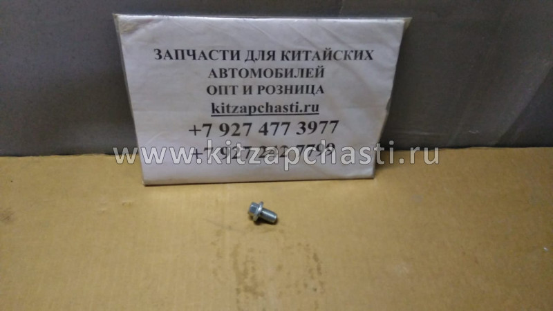 Винт Geely Preface 101605770551