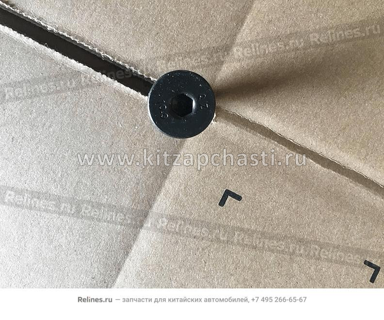 Болт направляющей цепи ГРМ Geely Cityray 1016057777