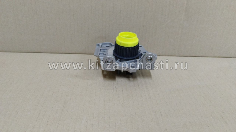 Помпа системы охлаждения ОСНОВНАЯ Tank 300 1307100XEC71