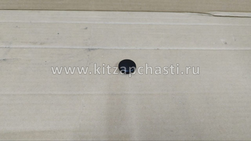 Крышка гайки поводка стеклоочистителя Geely Preface 6020529100