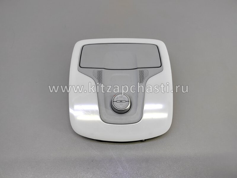 Плафон освещения салона TENET T7 605000219AA