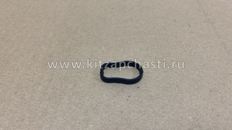 ПРОКЛАДКА МАСЛЯНОГО ФИЛЬТРА 2 T1A/T1E/T1D/M31T/M32T/T1C/M32T EXEED TXL  F4J16-1013012