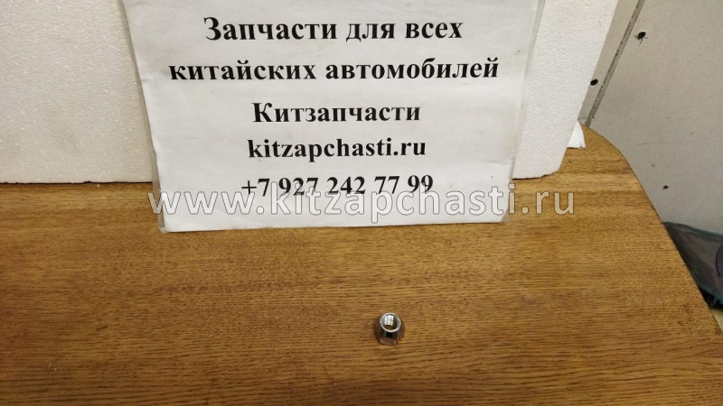 Гайка ступицы Geely Cityray JQ391C12T13F6